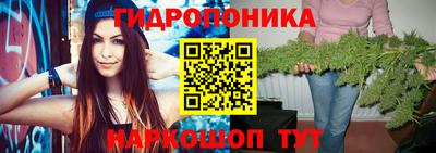 альфа пвп Славгород