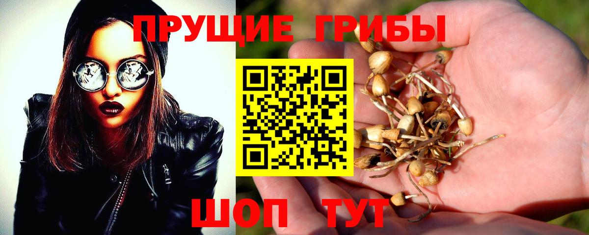Галлюциногенные грибы ЛСД Аргун